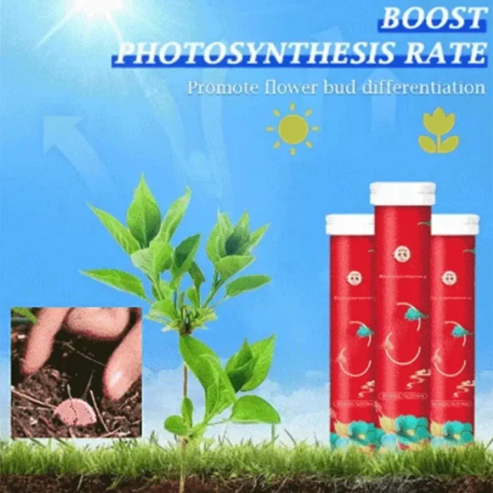 Gardening Organic Fertilizer Potted Succulent Organic Fertilizer Nutrient Slow Release for Foliage Plants Fruit Grow
