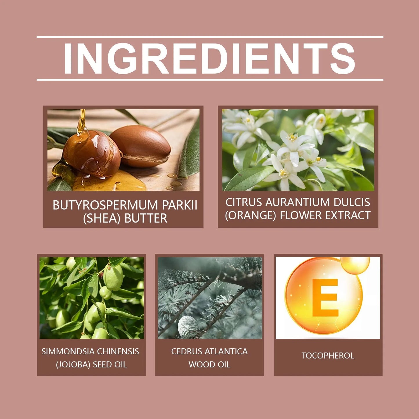 Organic Cologned Body Butter - Warm Scent, Body Butter,  Body Butter For Men,  Cologne Body Butter