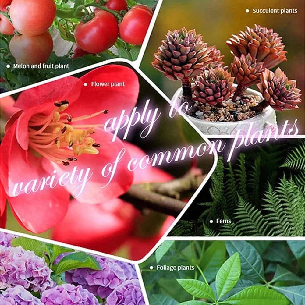Gardening Organic Fertilizer Potted Succulent Organic Fertilizer Nutrient Slow Release for Foliage Plants Fruit Grow
